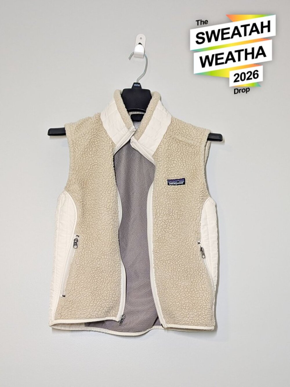 Patagonia Synchilla Fleece Vest Cream Oatmeal Full Zip S EUC Gorpcore Cozy Hike